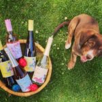 winzerhof_krottendorfer_wein_4