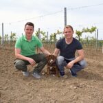 winzerhof_krottendorfer_wein_6